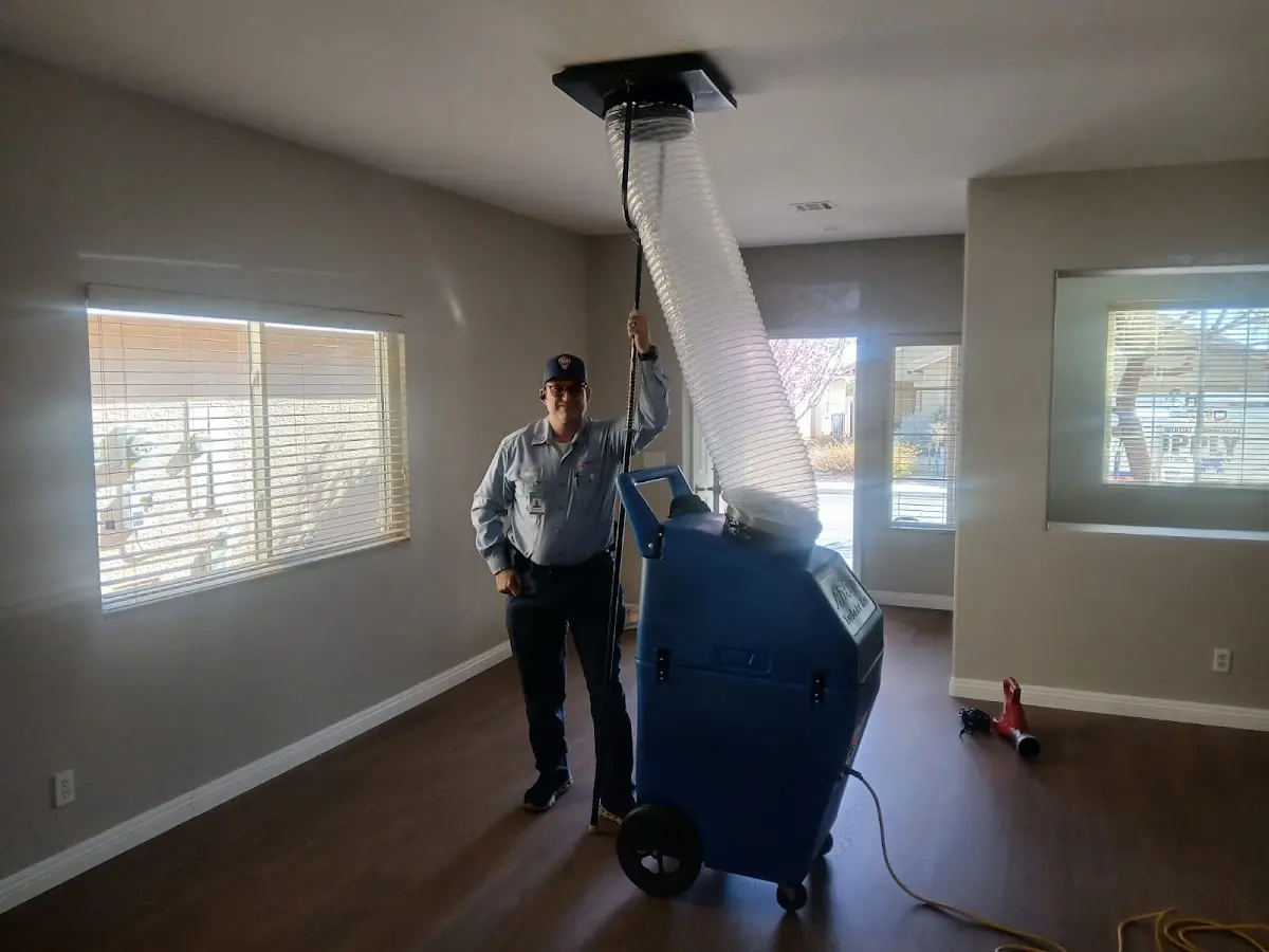 Professional Dryer Vent Cleaning work inside a Winfield home